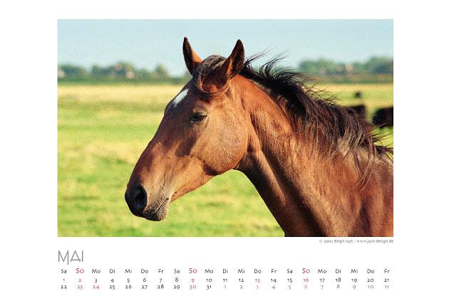 Tiere 2010