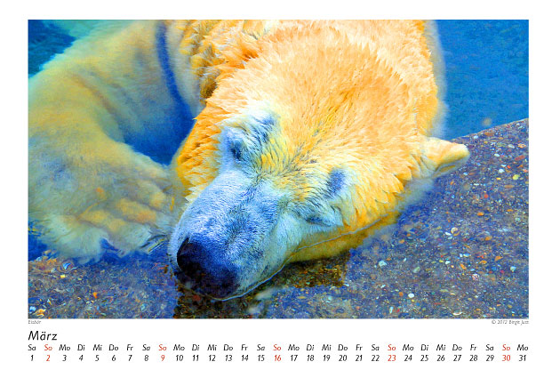 Zoo 2014