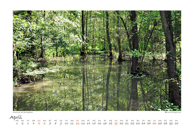 Landschaft 2015
