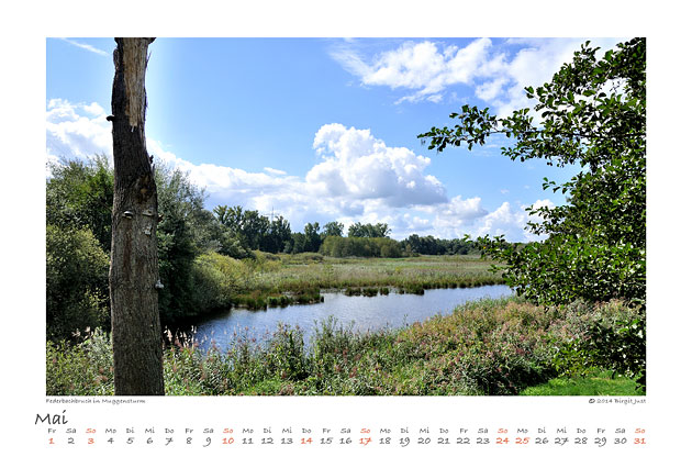 Landschaft 2015