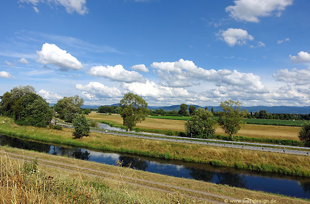 Rheindamm bei Hügelsheim
