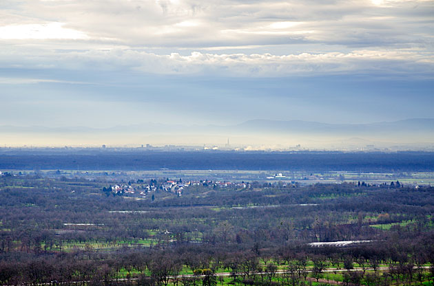 Blick zu den Vogesen