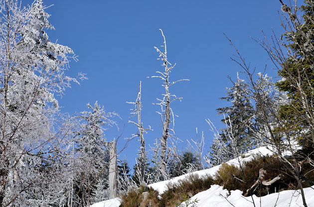 Hornisgrinde