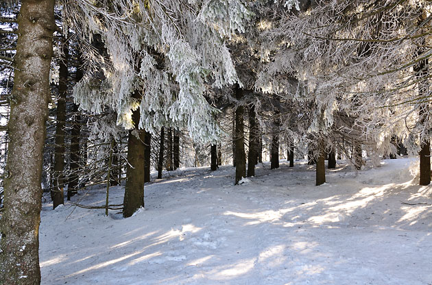 Hornisgrinde