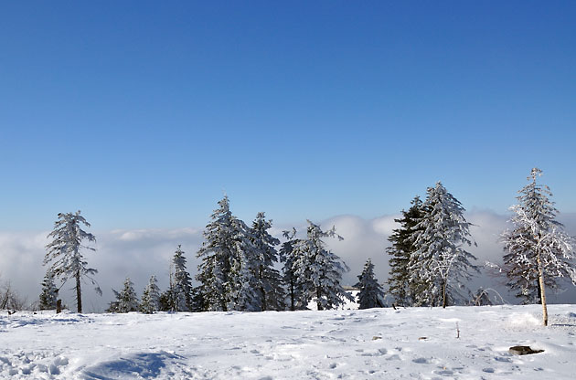 Hornisgrinde