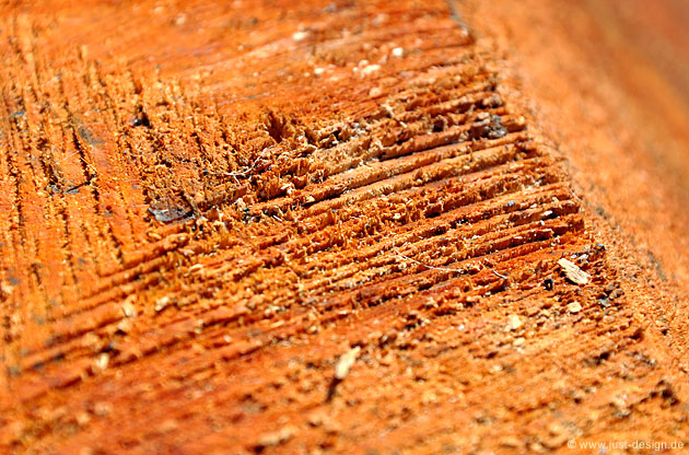 Holz